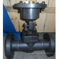 6.4MPa Dn50 A105 Forged Gate Valve